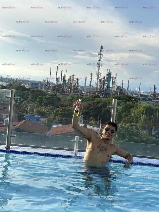 FOTOS DE NUEVO MORENO SANTANDEREANO EN TU CIUDAD LECHERO Y VERGON