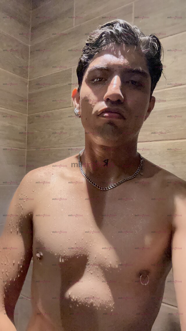 FOTOS DE ACTIVO DOM, MORENO , ALTO , ACTIVO Y LECHERO