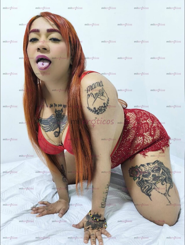 FOTOS DE RECIÉN LLEGADA A TU CIUDAD PAPI CHICA ATREVIDA FULL MORBOSA ME ENCANTA EL SEXO