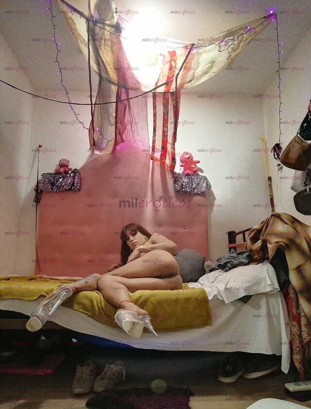 FOTOS DE BELLEZA DEL PLACER ACTIVA Y PASIVA DISPONIBLE AHORA