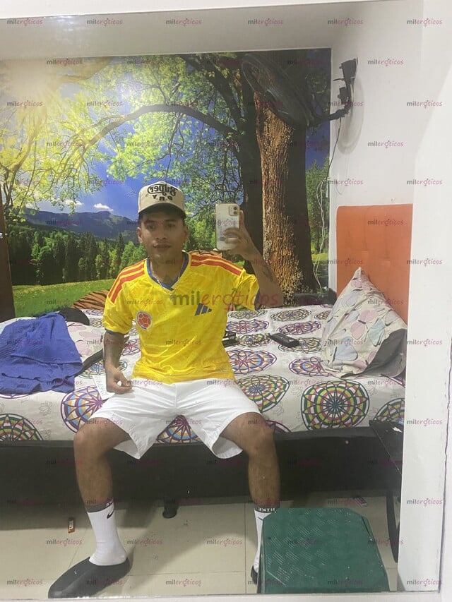 FOTOS DE COLOMBIANO VERGON PELUDO CERDO Y LECHERO