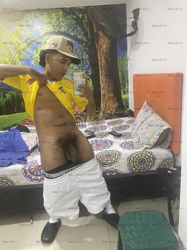 FOTOS DE COLOMBIANO VERGON PELUDO CERDO Y LECHERO