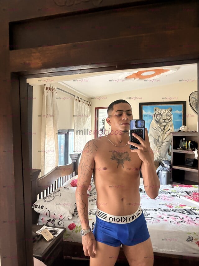 FOTOS DE MORENO SANTANDEREANO VERGON LECHERO NUEVO EN TU CIUDAD POCOS DIAS