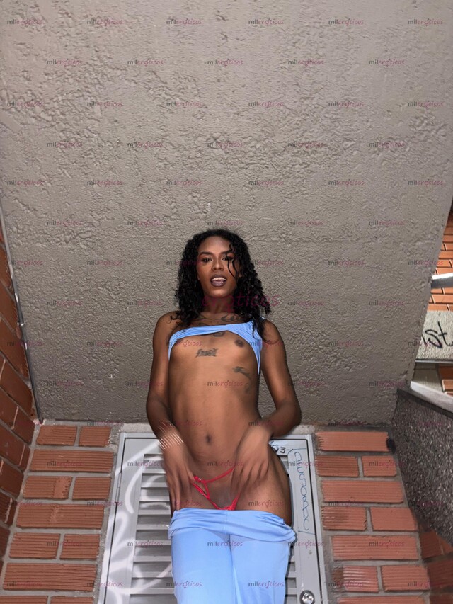 FOTOS DE POLLITA LECHERA FULL FEMENINA DISPONIBLE 24 7