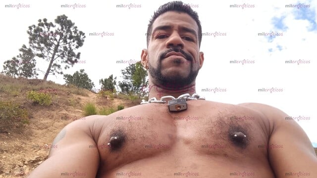 FOTOS DE MORENO MACHO VERSÁTIL TODO TERRENO 22CM