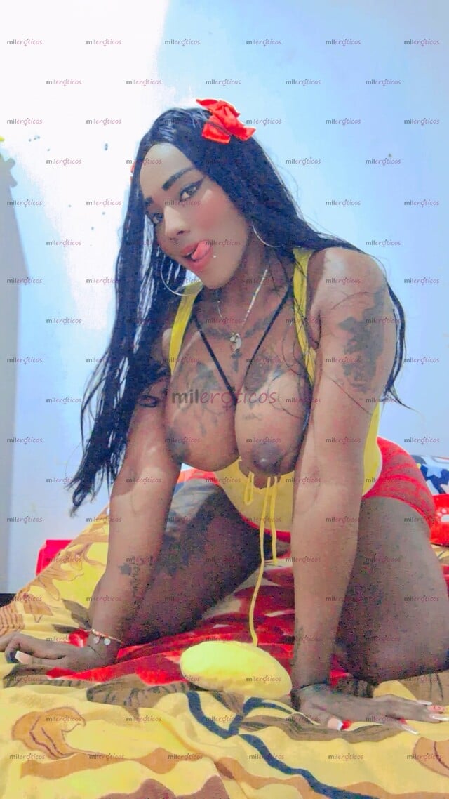 FOTOS DE ME VENGO MIENTRAS ME PENETRAS DELISIOSA TRANS ACTIVA Y PASIVA CON APARTAMENTO