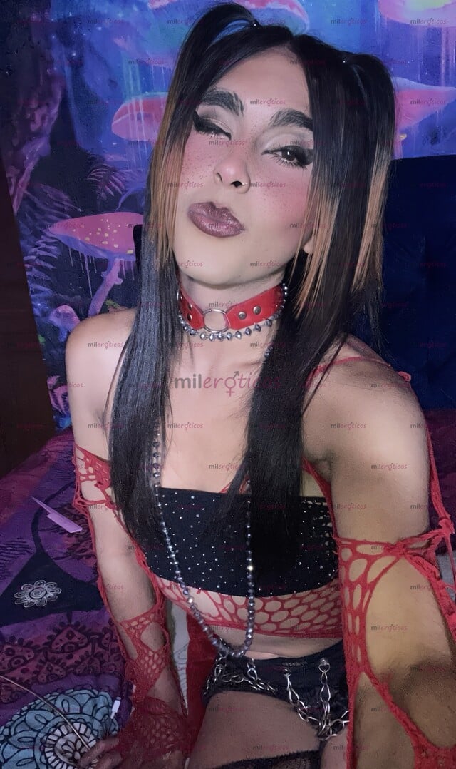 FOTOS DE BELLA Y DULCE JOVENCITA CUMPLIRE TUS FANTASÍAS