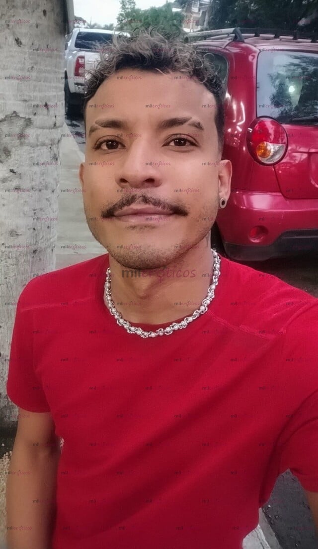 FOTOS DE MACHO VENEZOLANO VERGON 20C DISPONIBLE EN CALI, HAGO SALIDAS.