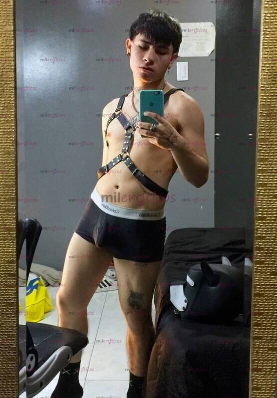 FOTOS DE HOLA SOY ALEX UN POLLO SORNERO SERIO Y RESERVADO VERSÁTIL