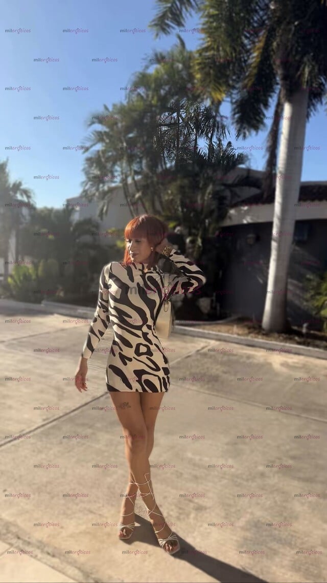 FOTOS DE HOLA AMOR!! NUEVA NIÑA TRANS EN TU CIUDAD!! CONTACTAME