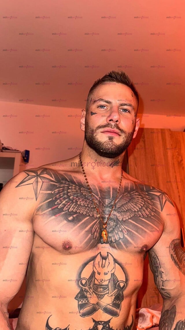 FOTOS DE MACHO ALEMÁN TOP 20 CM NUEVO EN LA CIUDAD