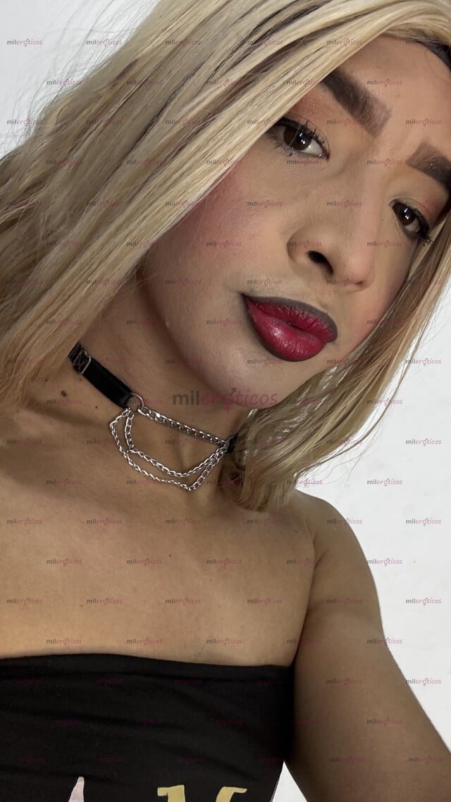 FOTOS DE TRANS FEMBOY CACHONDA DISPONIBLE VEN Y PASÉMOSLA RICO