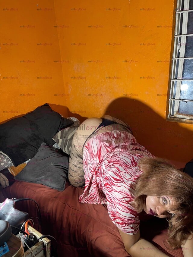FOTOS DE SEXY CHICA TRAVESTÍ, REYNA DEL SEXO ORAL Y ANAL, GORDIBUENA