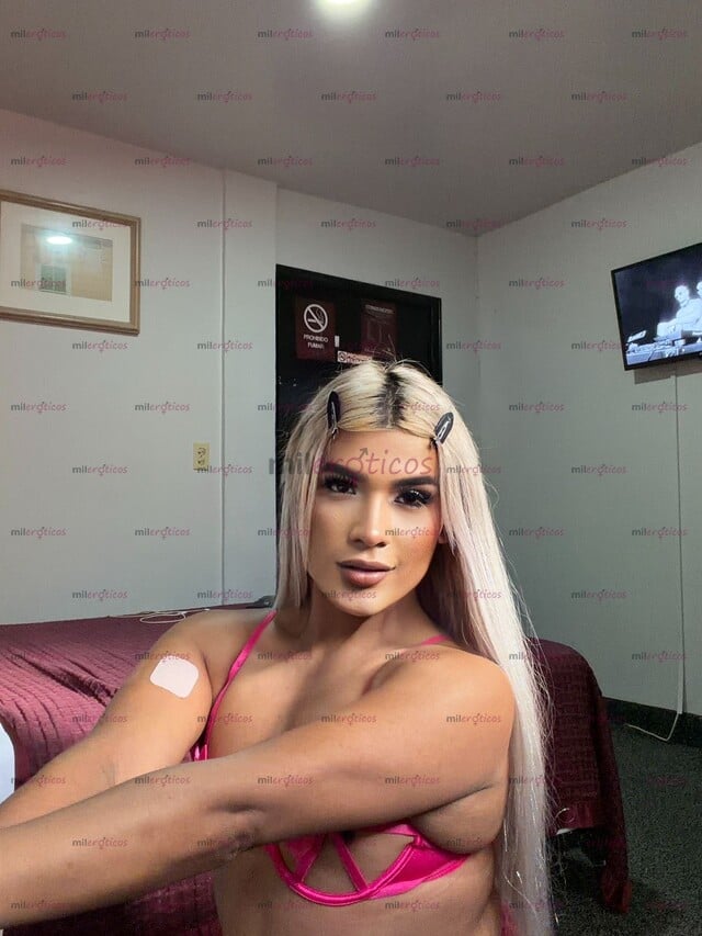 FOTOS DE QUIERES VERGA O CULO?? TE PREÑO Y ME PREÑAS?