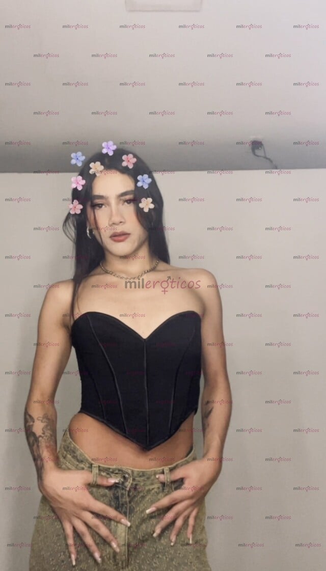 FOTOS DE MADISSON, DELGADA CHICA SENSUAL, VEN ME GUSTA PASÁRSELA RICO
