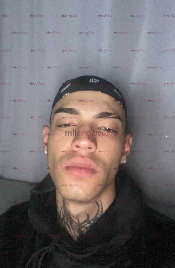 FOTOS DE POLLO SERIO RESERVADO FLACO ALTO VERGON PINTA LECHERO, QUE SE HACE PS