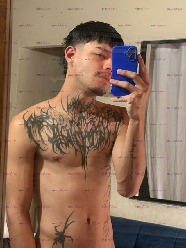 FOTOS DE POLLO SERIO RESERVADO FLACO ALTO VERGON PINTA LECHERO, QUE SE HACE PS