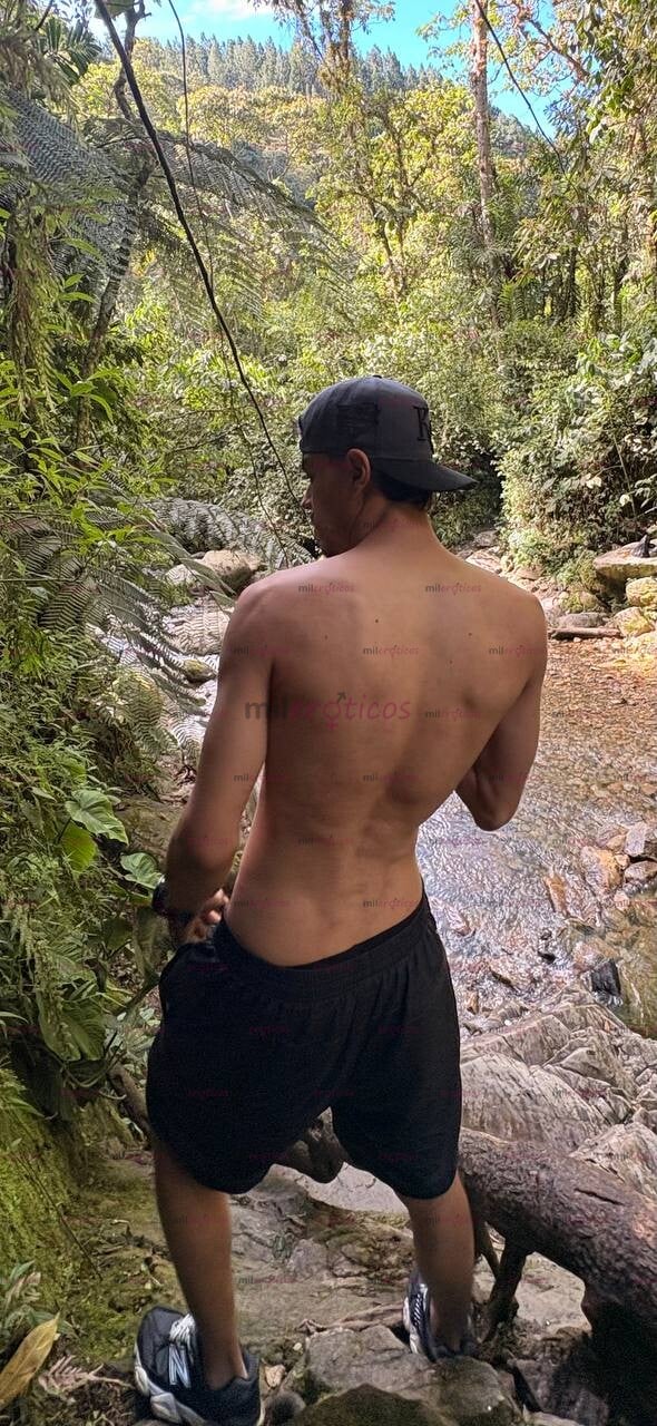 FOTOS DE POLLO SERIO RESERVADO FLACO ALTO VERGON PINTA LECHERO, QUE SE HACE PS