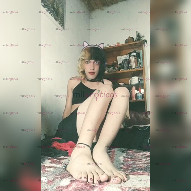 FOTOS DE HERMOSA GATITA HOT WEBCAM MAKI MORNINGSTAR MAMADORA PROFESIONAL