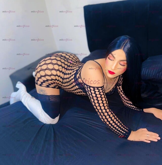 FOTOS DE LLOGO TU NIÑA TRANS LUXURY DE ALTO IMPACTO VISUAL LECHERA CON SITIO DISCRETO