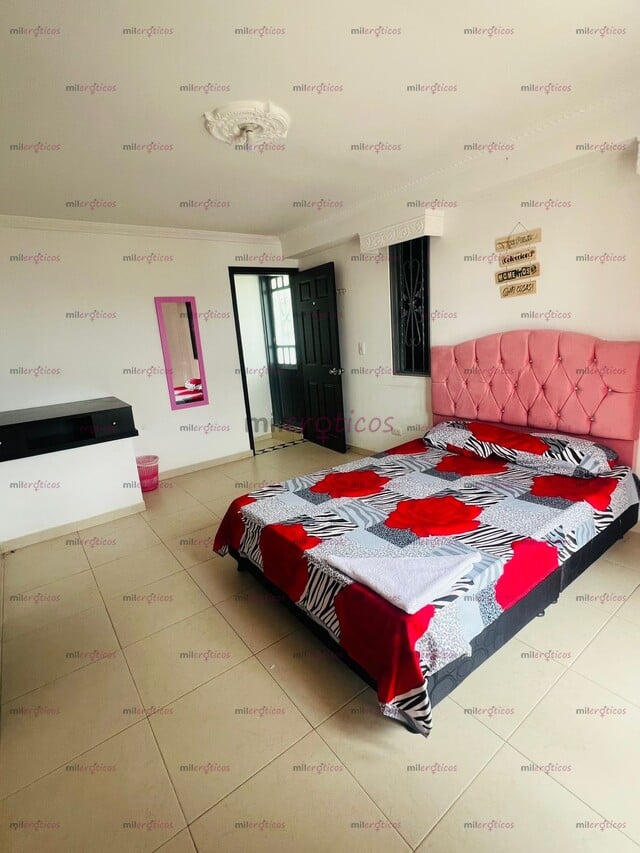 FOTOS DE HABITACIONES DISPONIBLES Y MUY CÓMODAS, IDEALES PARA TI