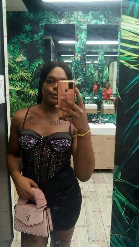 FOTOS DE TROZO NEGRO DE 21 CM FULL ACTIVA DOMINANTE
