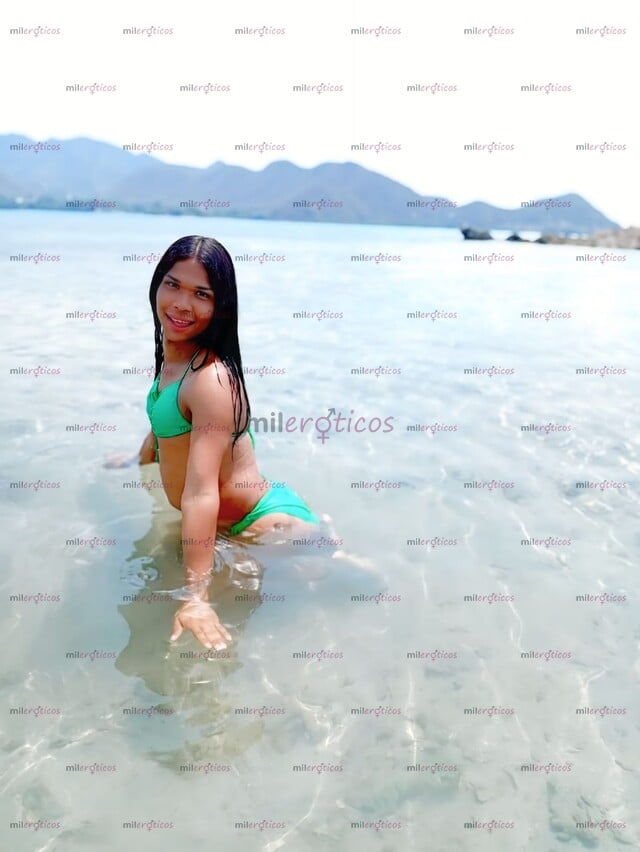 FOTOS DE NENA TRANS MUY LINDA FEMENINA COMPLACIENTE MORBOSA