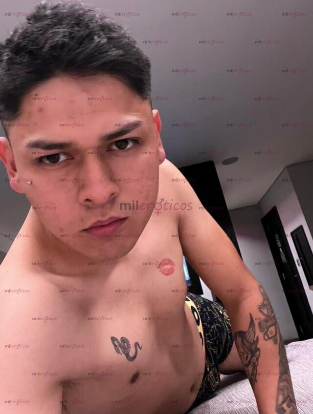 FOTOS DE CHAKAL JOVEN RICO PARA TI NUEVO EN EL HAMBIENTE