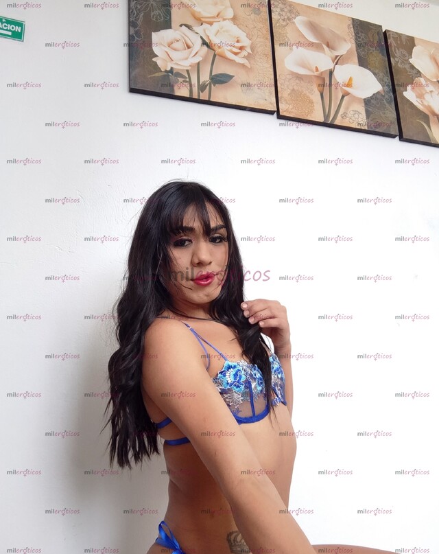 FOTOS DE FLACA LINDA DOTADA EXPERTA CON PRINCIPIANTE LECHERA VERGONA COMPLACIENTE