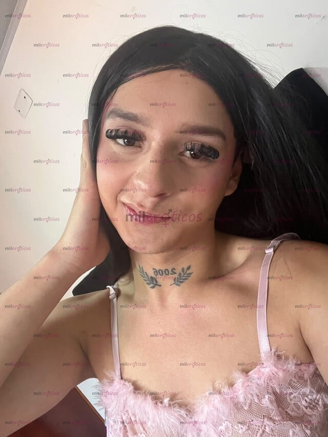 FOTOS DE NIÑA TRANS NUEVA EN TU CIUDAD CON GANAS DE SEXO