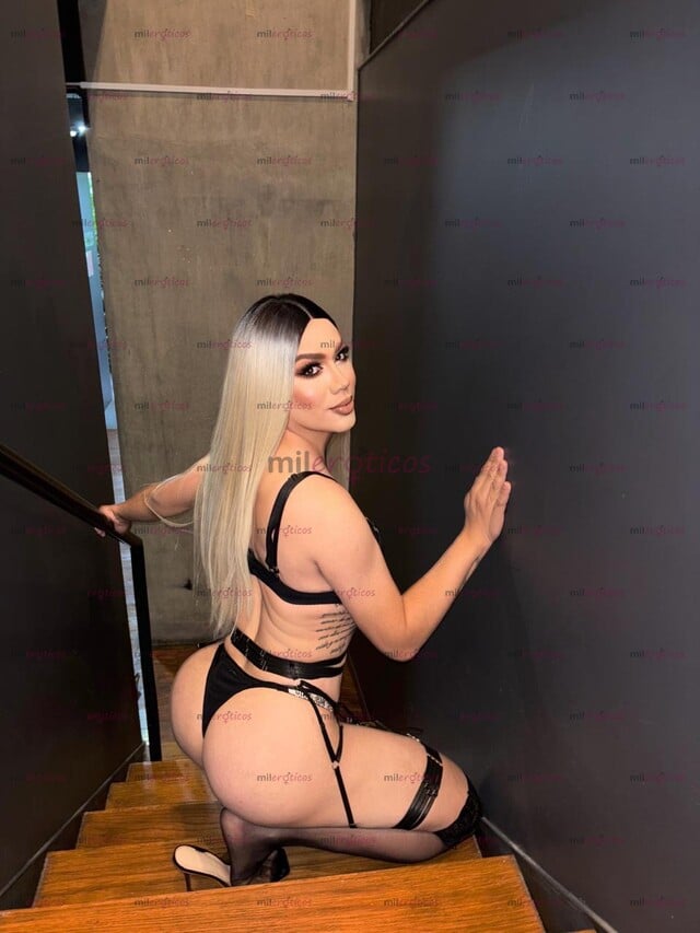 FOTOS DE AMO LA FIESTA TRATO DE NOVIOS DISPONIBLE