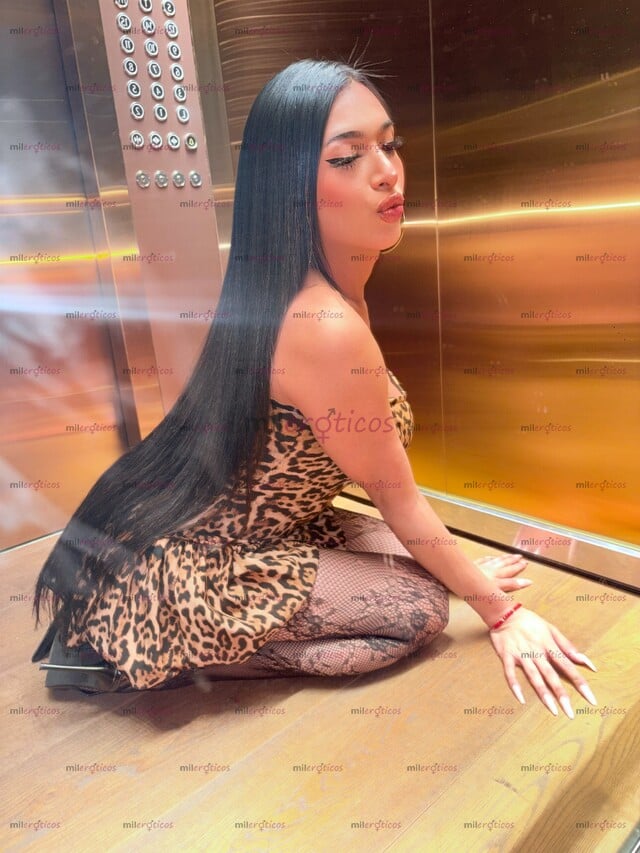 FOTOS DE PUEDO SER TU PUTITA SUMISA,MODELO TRANNY DE LUJO SOLO PARA SERIOS Y SOLVENTES