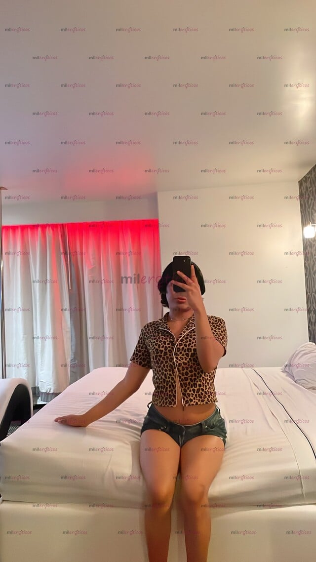 FOTOS DE FEMBOY CULONCITA, NUEVA EN TU CIUDAD LISTA PARA COMPLACERTE