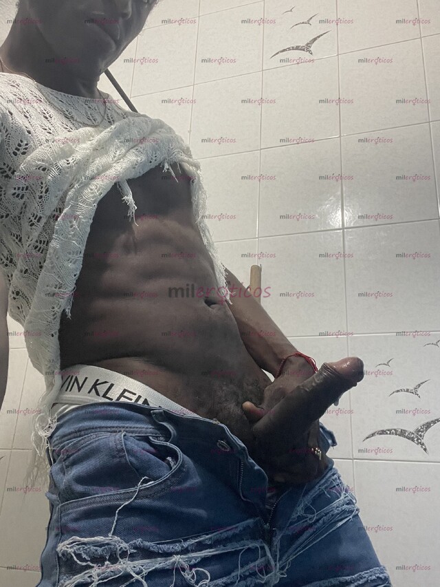 FOTOS DE LECHERO ARRECHO VERGON DESCOMPLICADO COMPLACIENTE VERGON ASEADO PICHÓN ARRECHO Y