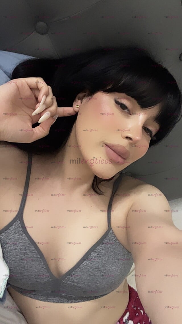 FOTOS DE HOLA , MI NOMBRE ES SHANTEL , SOY UNA CHICA TRANS Y ESTOY DISPONIBLE PARA TI