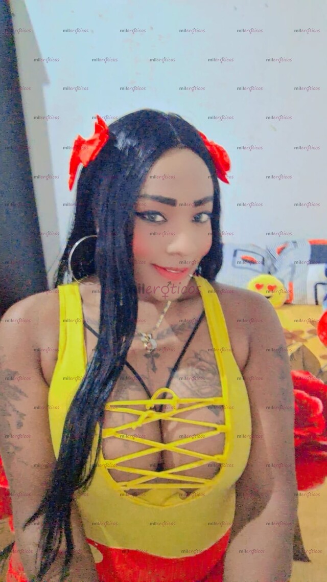 FOTOS DE PENETRACIONES,MUTUAS CHICA ESPERTA Y MUY LECHERA ESPERTA EN NOVATOS BB ESCRIBE