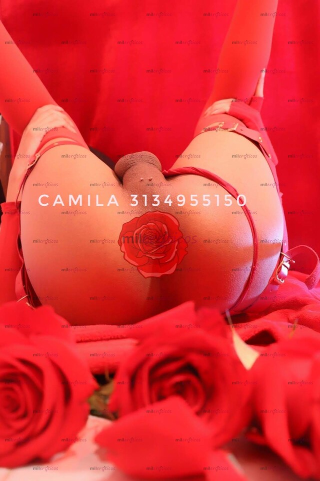 FOTOS DE TRANSSEXUELLE SEXY $ DESPAMPANANTE LO MEJOR DE ESTAS PÁGINAS FLAQUITA FEMENINA