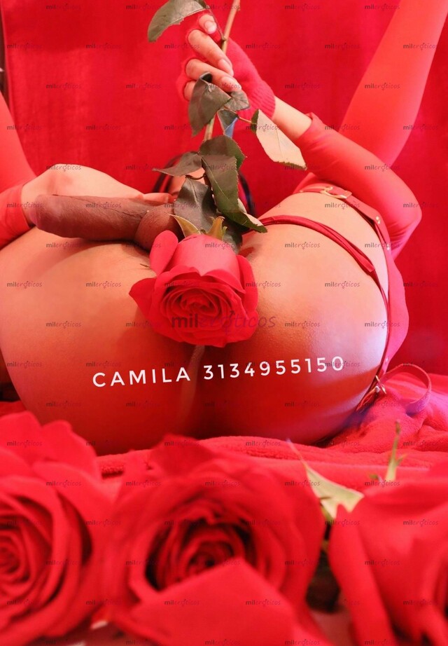 FOTOS DE TRANSSEXUELLE SEXY $ DESPAMPANANTE LO MEJOR DE ESTAS PÁGINAS FLAQUITA FEMENINA
