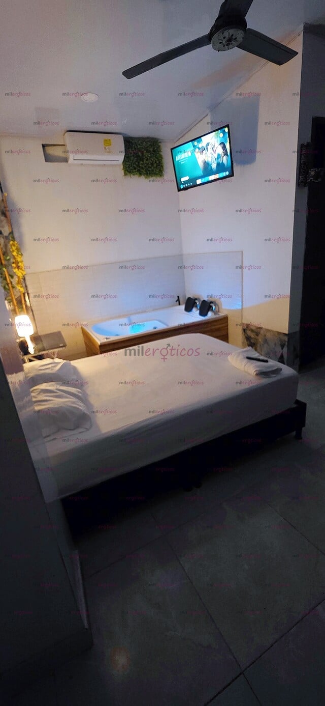 FOTOS DE HABITACIONES VIP PENTHOUSE DORADA: EL LUGAR IDEAL PARA RELAJARTE Y DESCONECTARSE