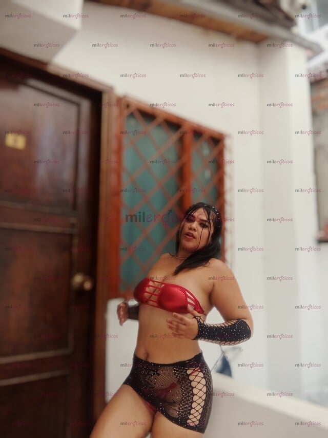 FOTOS DE DAYANA LLEGÓ TU PERRRA FAVORITA A TU CIUDAD EN TODAS LAS POSES