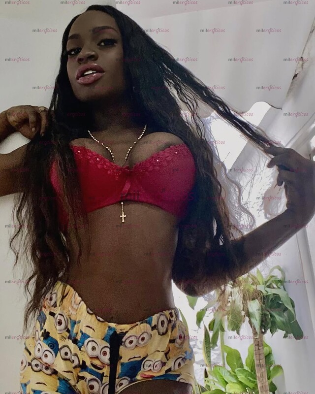 FOTOS DE VENDO CONTENIDO VIDEOLLAMADA MORENA EXOTICA CARIBEÑA RECIÉN LLEGADA A TU CIUDAD
