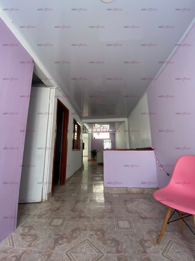 FOTOS DE HABITACIONES PEREIRA CASA NUEVA BUENA ENERGÍA PARA TRABAJAR.