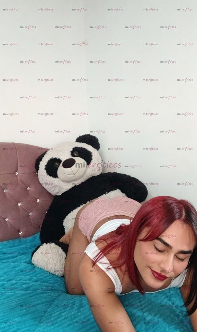 FOTOS DE LA TRANS DE TU VIDA, HAGAMOS ESE MOMENTO DELICIOSO.