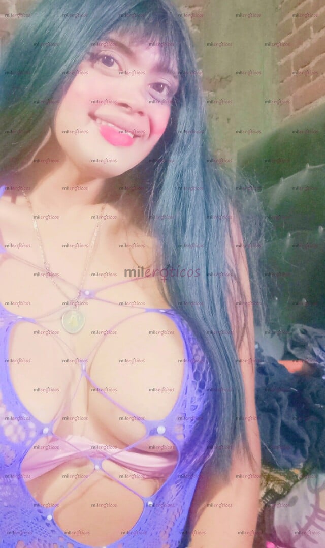 FOTOS DE SOLO VOY A HOTELES SOY IRLANDA FOX VERGUDA Y ACTIVA