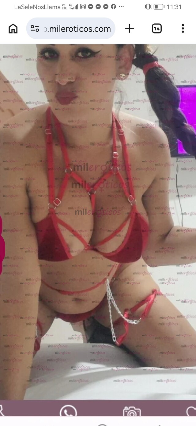FOTOS DE ATENCIÓN CÚCUTA ESTA DAYANA ÚNICA AUTÉNTI CHICA TRANS CON SENOS GRANDES SITIO