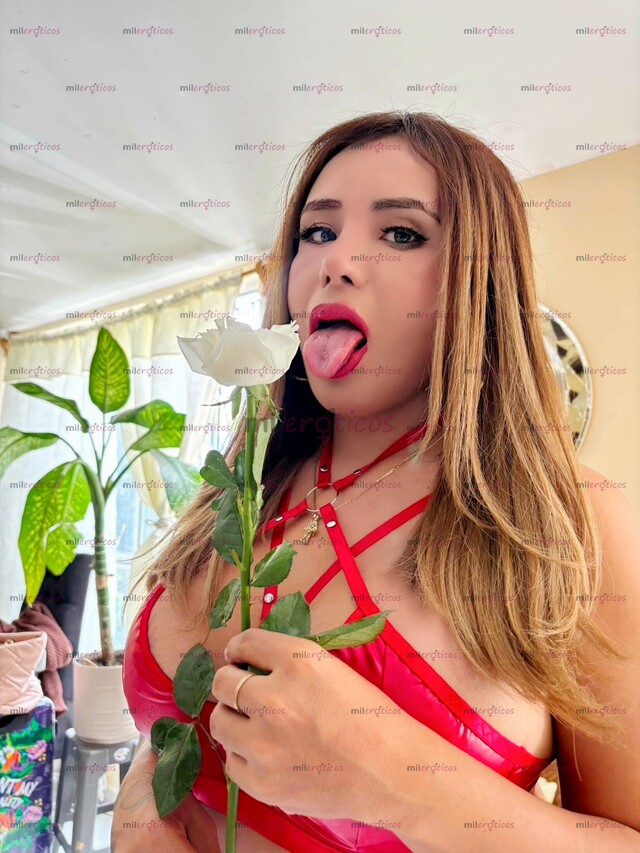 FOTOS DE MIRIAN CHICA TRANY RICA CALIENTE VERGUDA CULONA CACHONDA Y DISCRETA DISPUESTA A