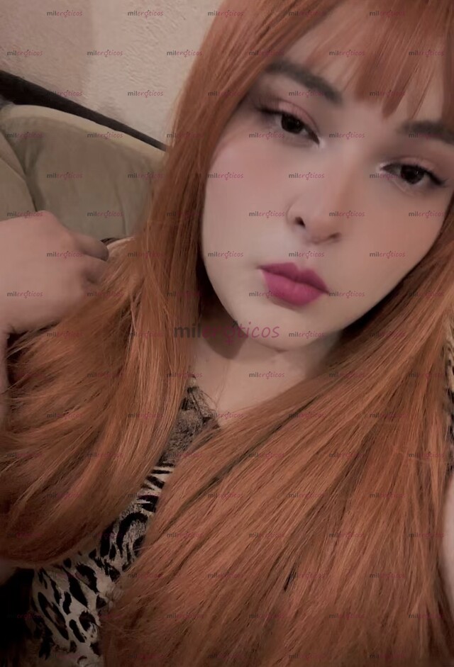 FOTOS DE SOLO HOY PROMO $700 CHICA TRAN CON CULO GORDO Y GRANDE