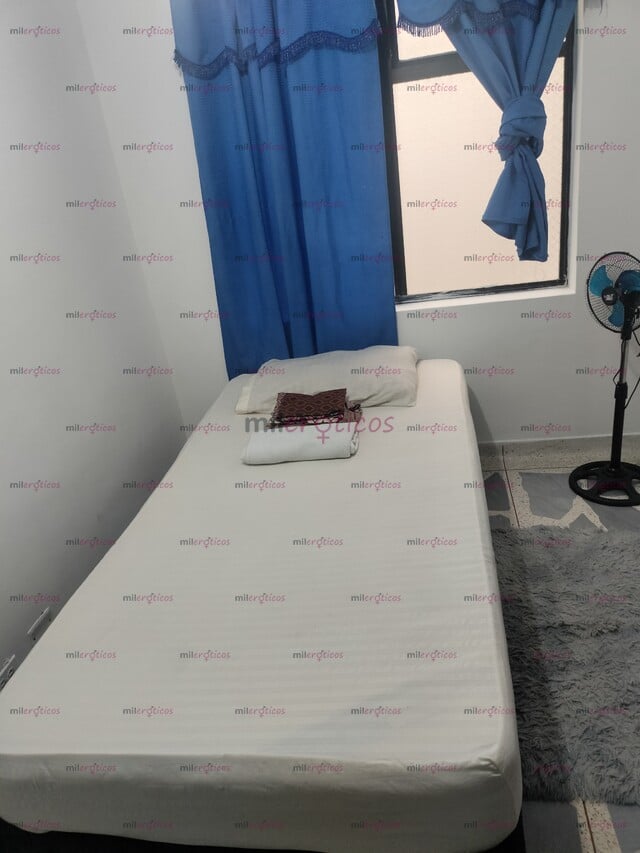 FOTOS DE HABITACIÓN DISPONIBLE EN LAURELES SOLO MASAJISTAS INDEPENDIENTES