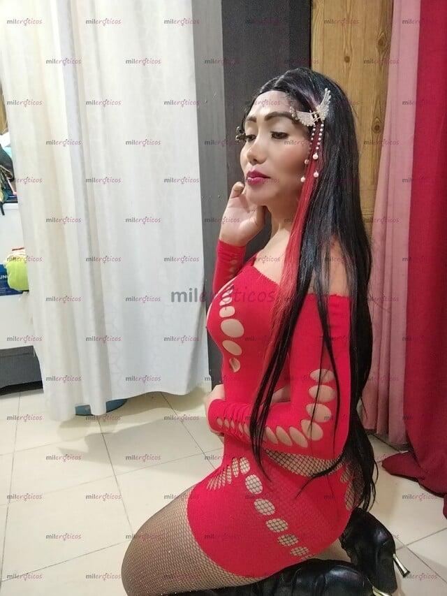 FOTOS DE NENA TRANS ULTIMOS DIAS QUIERES CHUPAR PASIVA Y ACTIVA