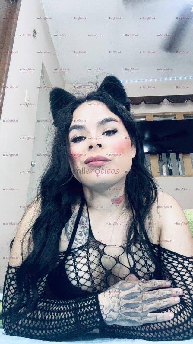 FOTOS DE NORTEÑA FEMENINA DEL TERCER SEXO, PARA CLIENTE SOLVENTES